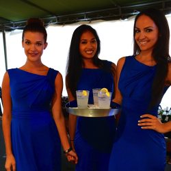 Bar Staffing Agency